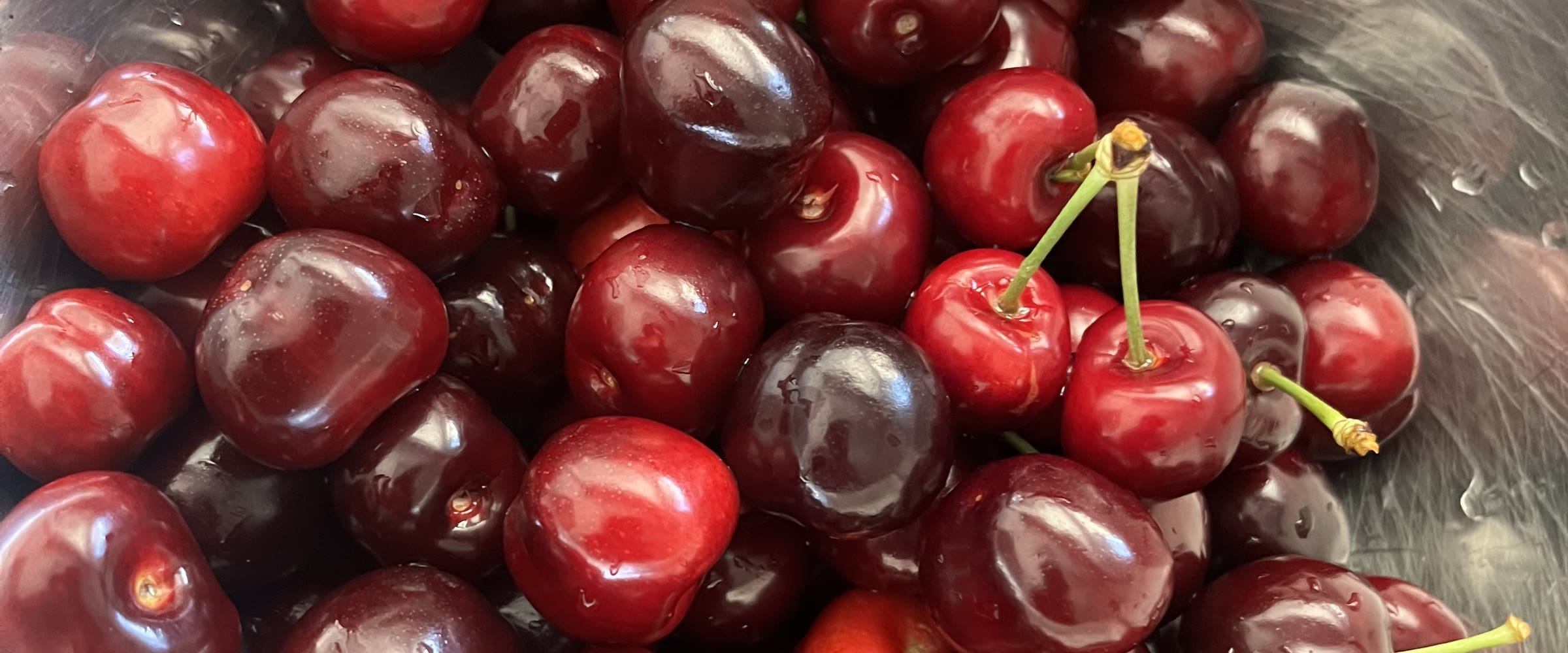 Freshly picked Ceja Farms cherries