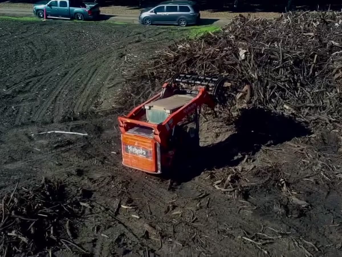 Skid steer raking pulled vines into a debris pile